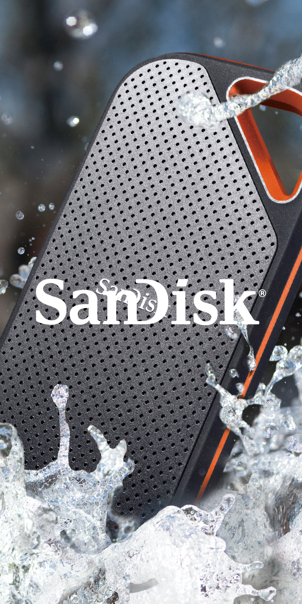 SanDisk